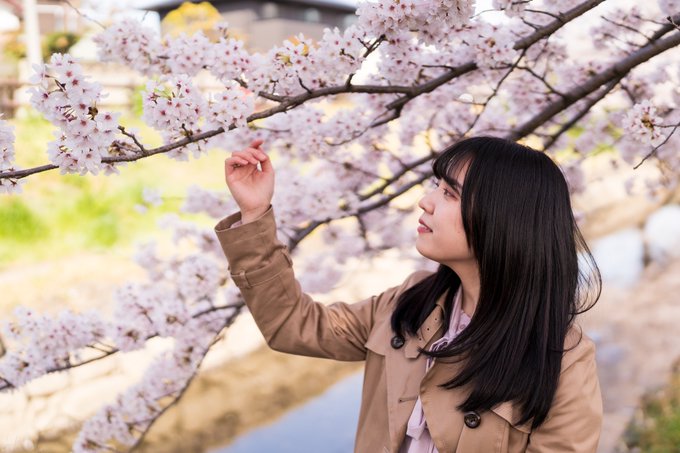 もう一度さくらの木の下でmodel：久遠風夏 さん  camera : SONY α9lens : SONY FE 35