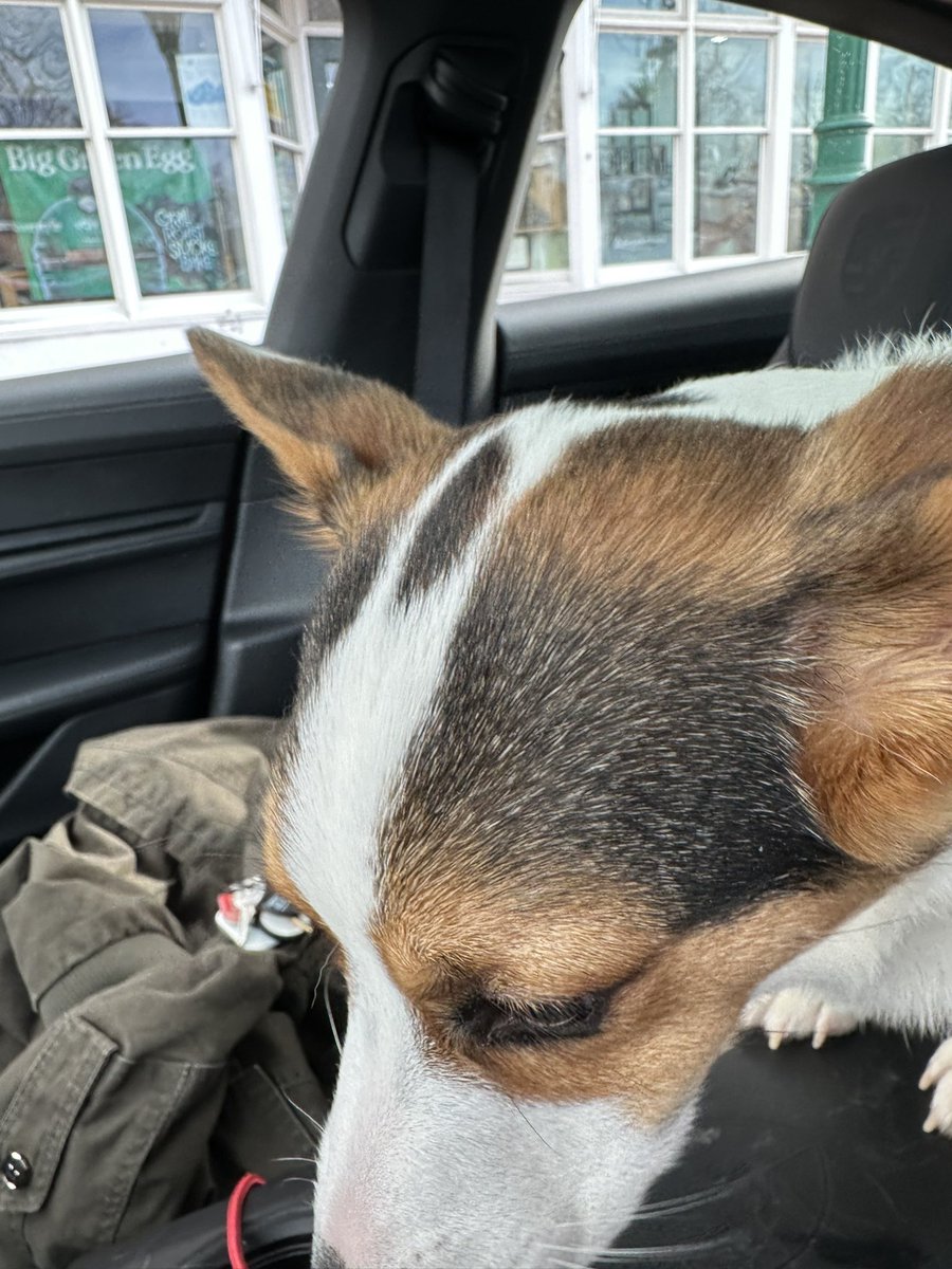 George Conway ⚖️🇺🇸 tweet media