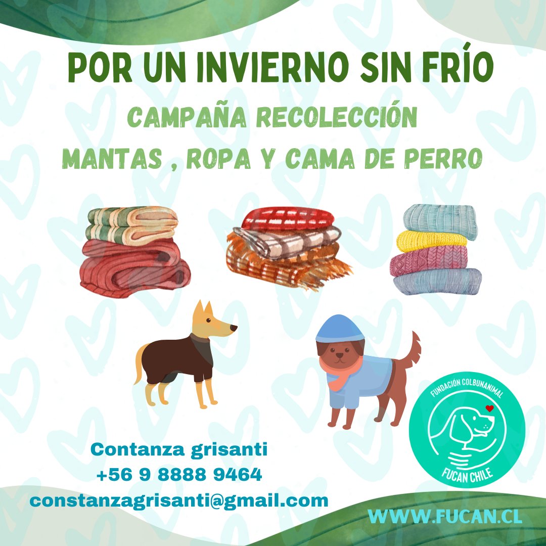 No se olviden siempre necesitamos, mantas, casitas de perros ,etc fucan.cl