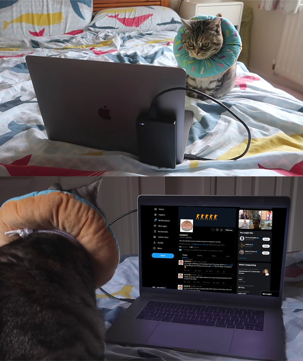 NIPCS's tweet image. how we're spending our weekend