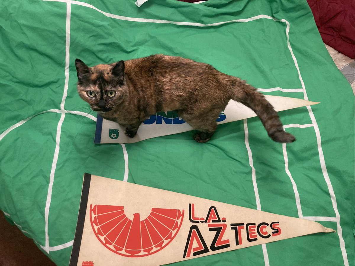 #Sounders Matchday #nasl style. Subbed in for #lafc are the #laaztecs. Our Grrrl Yuki has chosen the winner! #SEAvLAFC  #EBFG