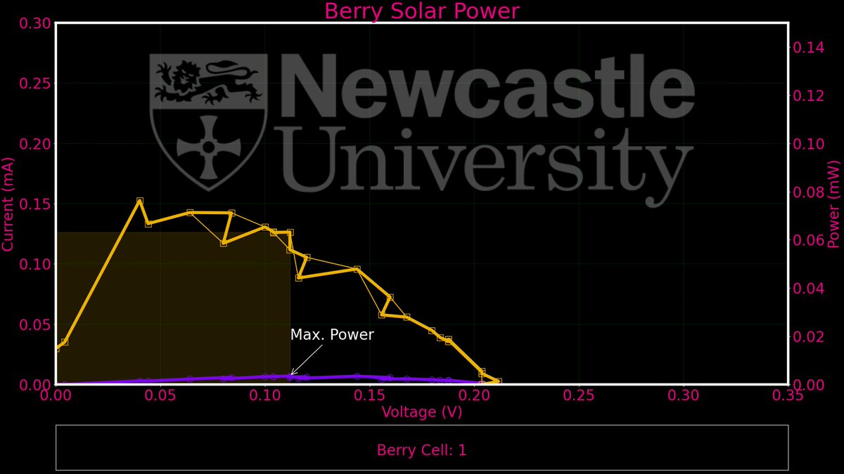 Berry Solar Cells for Berry Future tweet media