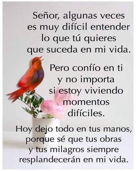 Meditar y vida (@meditaryvida) on Twitter photo 