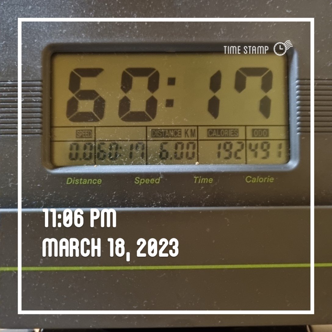 또바기개나리 tweet media