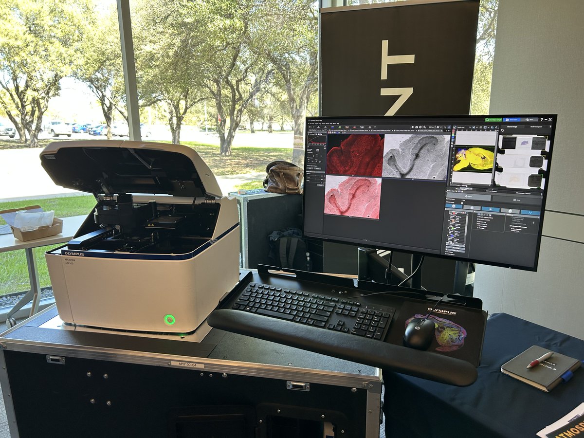 MSA Student Council tweet media