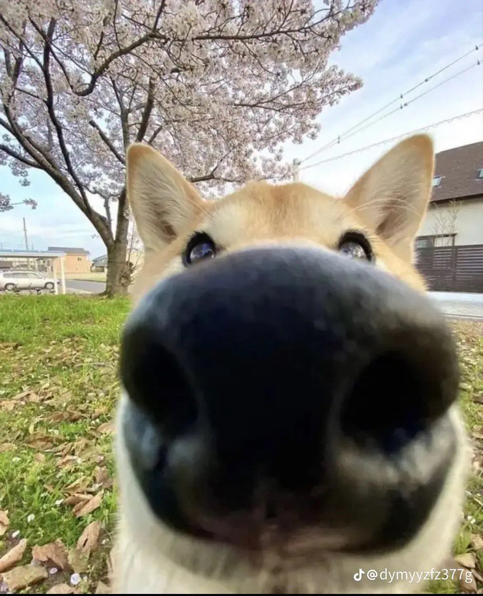 cataracts tweet media