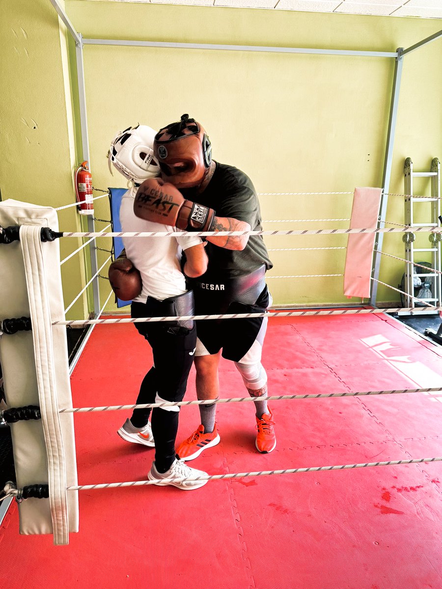 jrjuniorboxing's tweet photo. 😉 Hoy en la sesión de sparring con los compis del gym de Almerimar y de El Ejido
Poco a poco van cogiendo formas 💯💯💯
#Boxeo #TeamJr #BoxeoAmateur #BoxeoEspañol #BoxeoMultifuncional https://t.co/YVKbQriMtI