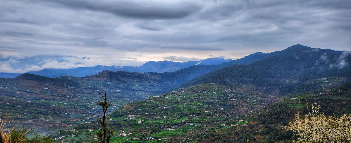 gowildadvnture's tweet photo. Getting back to my roots #Poonch #pirpanjal #jktourism #nature #IncredibleIndia 
@sunaina1977
@JammuTourism 
@JandKTourism 
@OfficeOfLGJandK 
@PoonchDm 
@DICPoonch 
@CPddcPoonch 
@tourismgoi 
@XtremeAdvntrs 
@CharakQadeer https://t.co/rXe6yXVLsx
