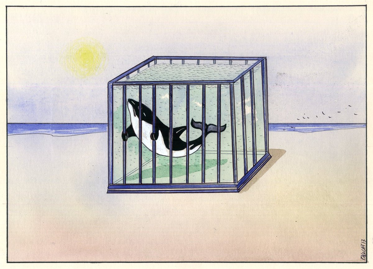 Mi viñeta de hoy.
La cárcel de agua.