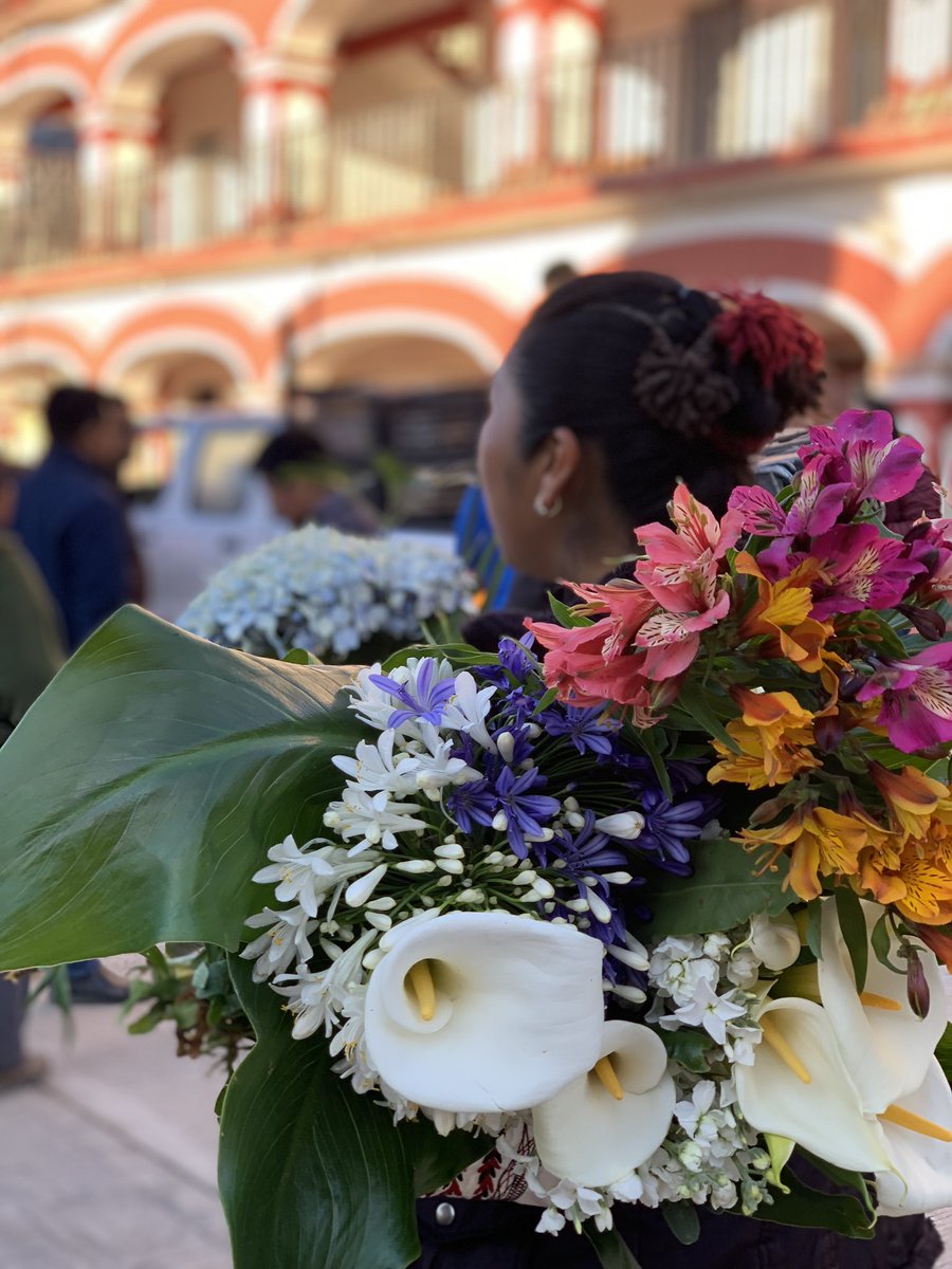 _SER_ac's tweet photo. 📍 Hoy Asᴀᴍʙʟᴇᴀ ᴅᴇ Aᴜᴛᴏʀɪᴅᴀᴅᴇs Mɪxᴇs. Sábado 18 de marzo del 2023. Sᴀɴᴛᴀ Mᴀʀíᴀ Tʟᴀʜᴜɪᴛᴏʟᴛᴇᴘᴇᴄ https://t.co/3F1GB9k8B6