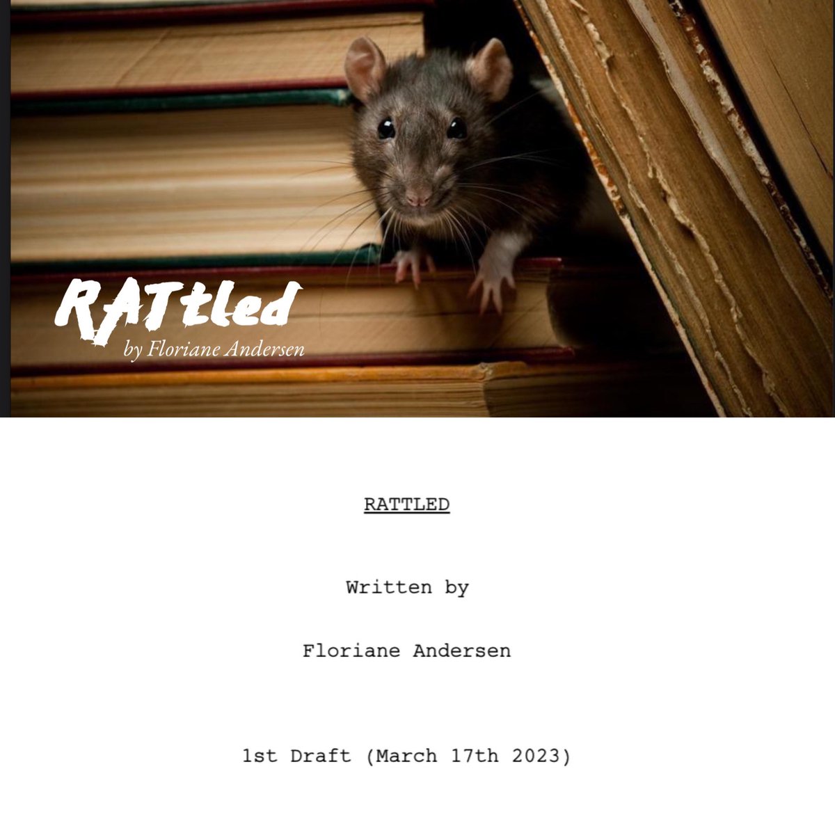 Something new is cooking ✨