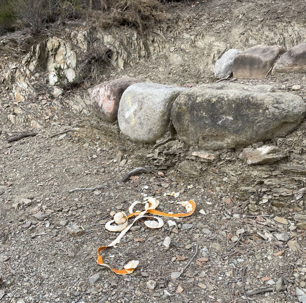 A esa gente que va a la montaña a desayunar/merendar y deja el bosque así con la oída frase “ eso no pasa nada , es biodegradable” decirles que hacer eso es de CERDOS. La montaña no es para tirar cascaras de fruta aunque “sean biodegradables”. Las recoges y las tiras en tu casa