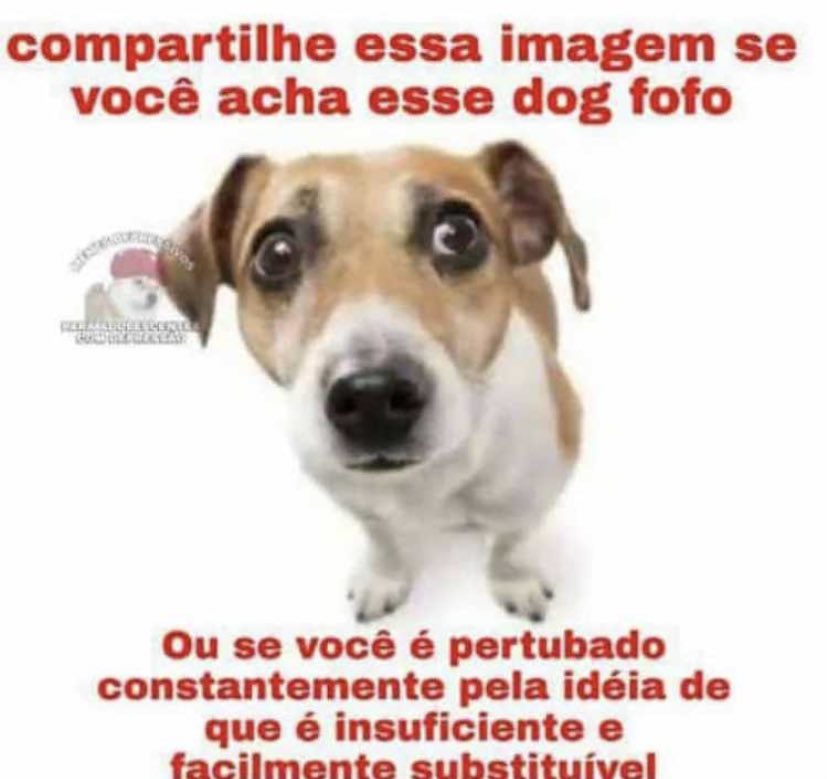 luiz abreu o ex-triste 🐊☔️ (@abreueumesmo) on Twitter photo 