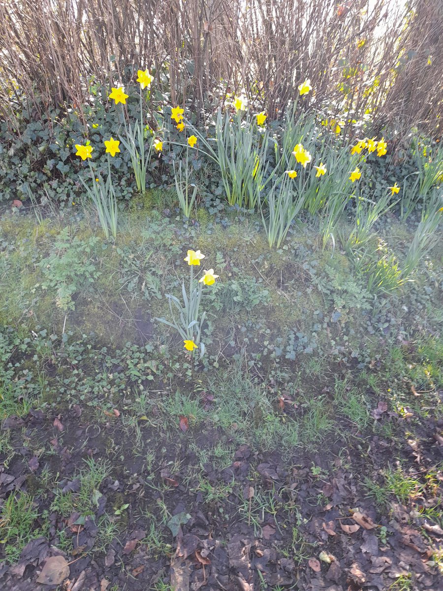DaSilvaVictoria's tweet photo. Lovely morning at Mowbreck Scout Campsite. The Explorer Scouts were all very busy carrying out their tasks with lots of laughter. Thank you to everyone who made this possible @BlackpoolScouts https://t.co/HjjskoXLip