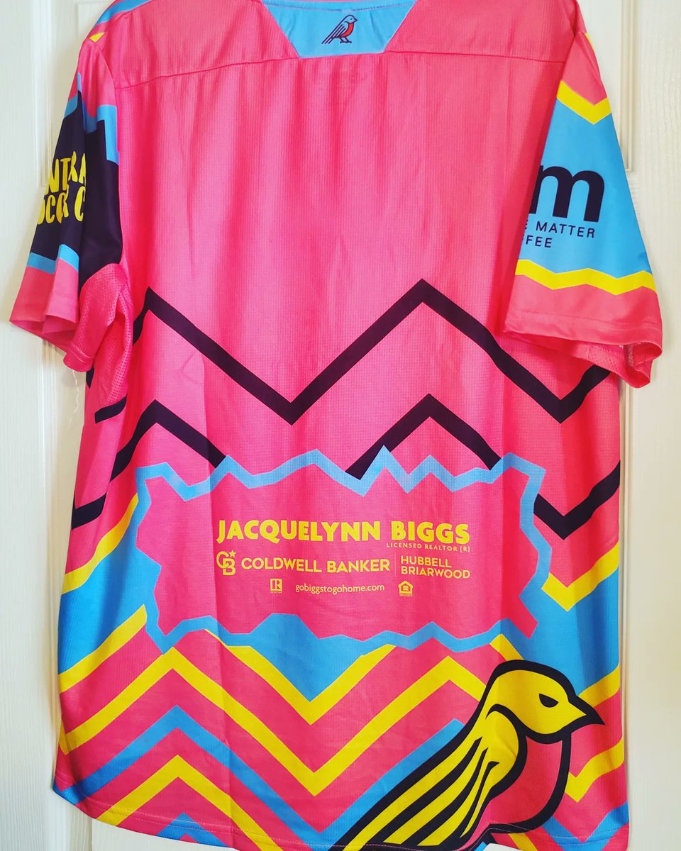 BrocksKitCloset's tweet photo. Up The Robins! 2022 @lansingcommonfc GK shirt. Wow! What a shirt! From the colors, to the neckline, to the details, to the pattern extending onto the back. Everything about this shirt is great! 🤎💙⚽️ #footballshirt #soccerjersey #kitcollector #lansingcommonfc #mwpl #robins https://t.co/BDxYXoYB5u