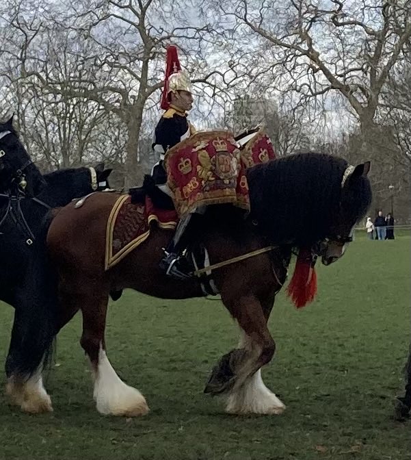 Peter Hitchens on Twitter "A magnificent Drum Horse takes part in