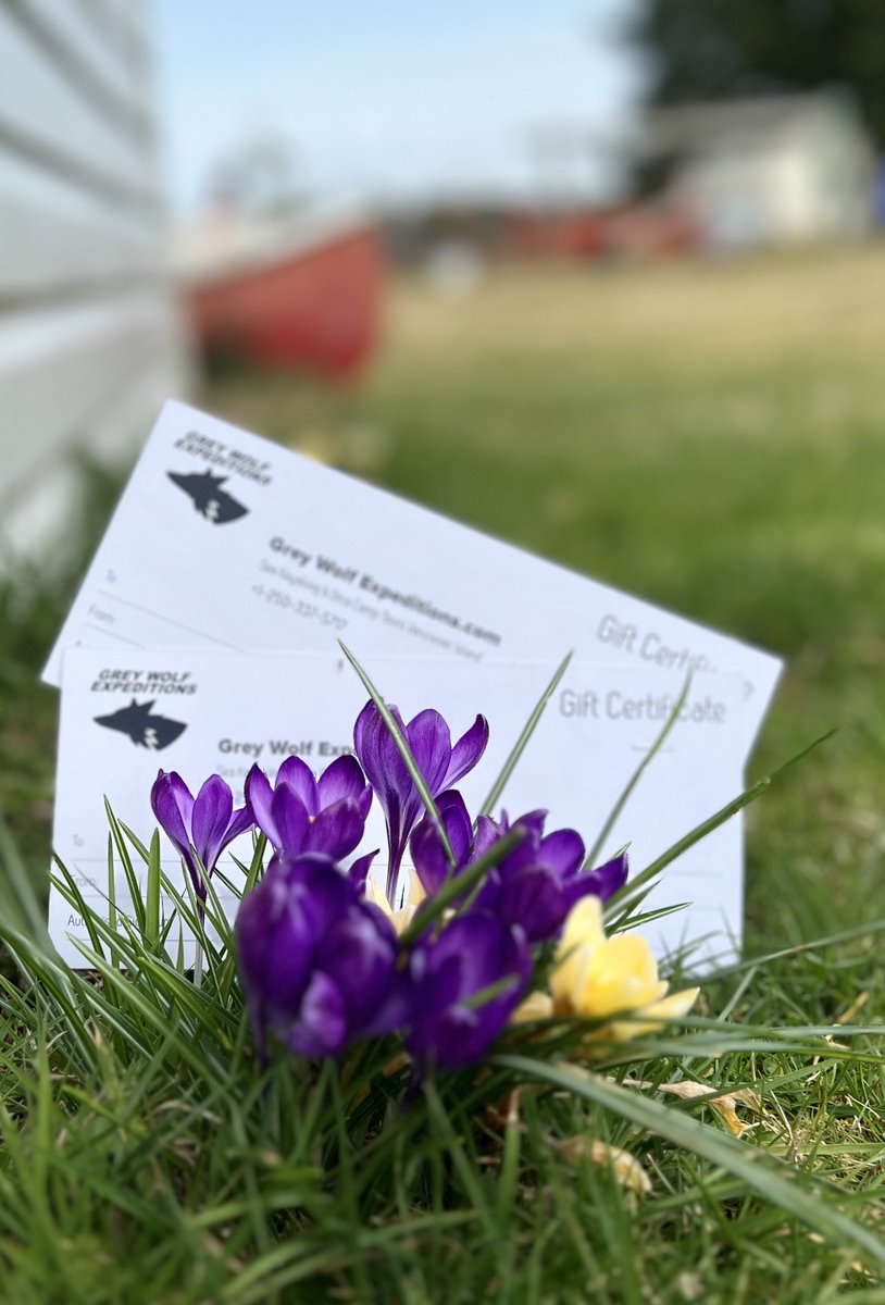 SeaKayakTours's tweet photo. Spring is upon us, let’s plan an adventure #OrcaCamp #greywolfexpeditions https://t.co/httcY35jPZ