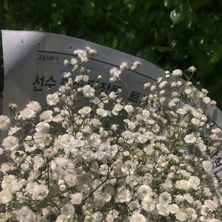 lcvekeira's tweet photo. 💌 helloo not new to #booktwt, but i'm looking for more moots <3

some of my faves include: 
୨୧ if you could see the sun
୨୧ tig/thl
୨୧ agggtm
୨୧ the naturals
୨୧ legendborn
୨୧ soc/ck
୨୧ killing november
୨୧ the poppy war
୨୧ annE, b99, st, the good place

♡ + ↻ to become moots <3 https://t.co/vXiYwDEoyT