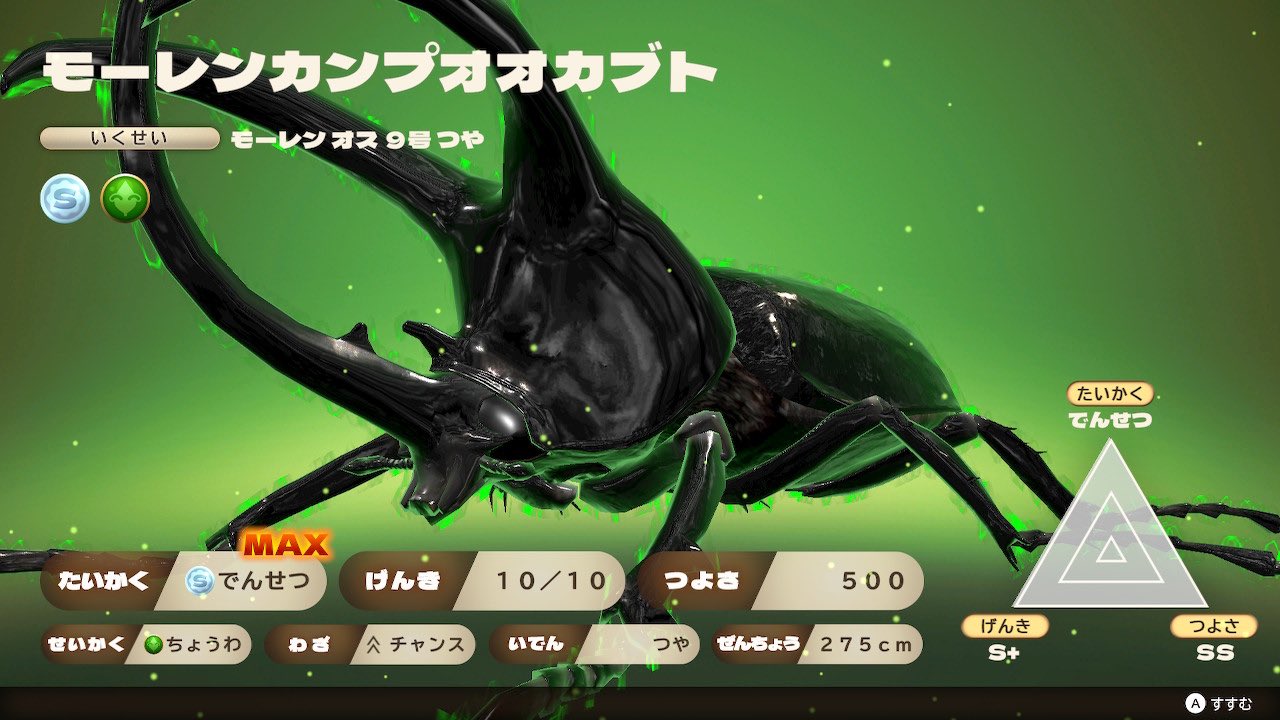 カブクトクワガタ - Search / X