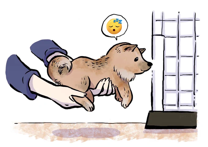 そろそろおやすみなさい 
