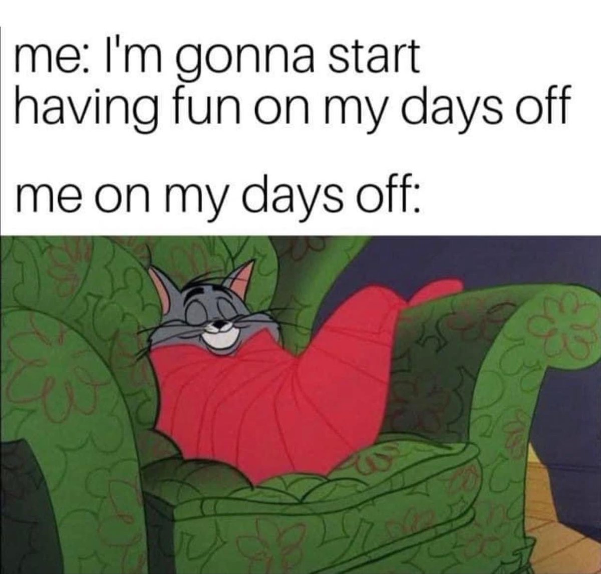 PinotsGilbert's tweet image. So cozy!!