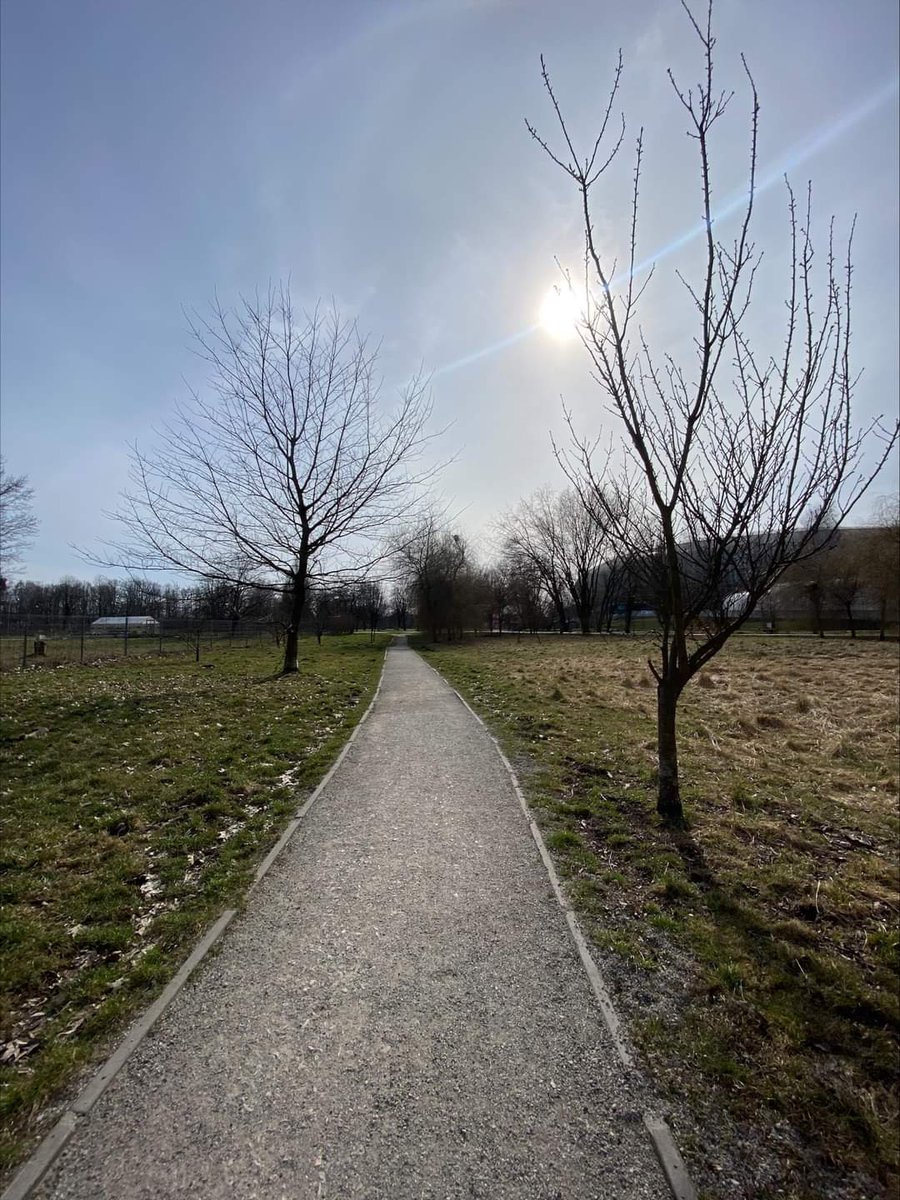 ZZMKrakow's tweet photo. Sobota to idealny czas na aktywny odpoczynek! 🍀🍀
Park Lotników Polskich w @krakow_pl oferuje niezwykle widoki.
🍰 Czeka tam na Was również piękna kawiarnia, z której rozciąga się widok na cały park! ☕️
#parklotnikowpolskich #CoffeeTime #weekendvibes #goforwalk https://t.co/Y7c3s7kuLb