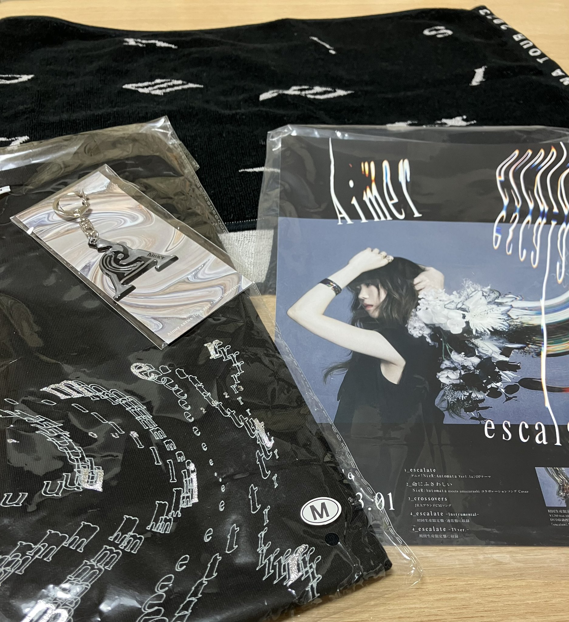Aimer ライブ グッズ -nuit immersive- Tシャツ タオル Aimer ライブ