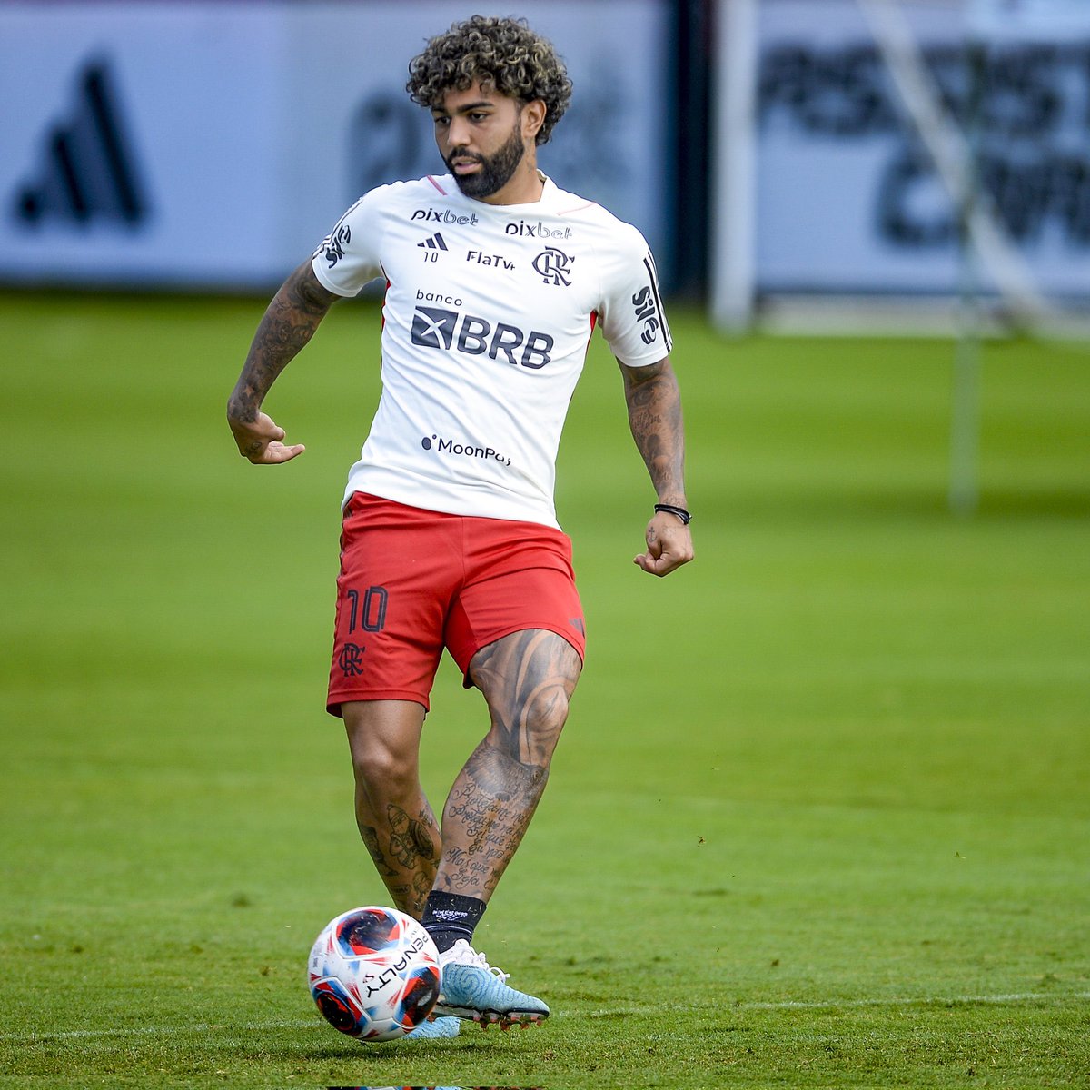 Flamengo_en's tweet photo. 1️⃣ more day! https://t.co/gDwhgUTCE3
