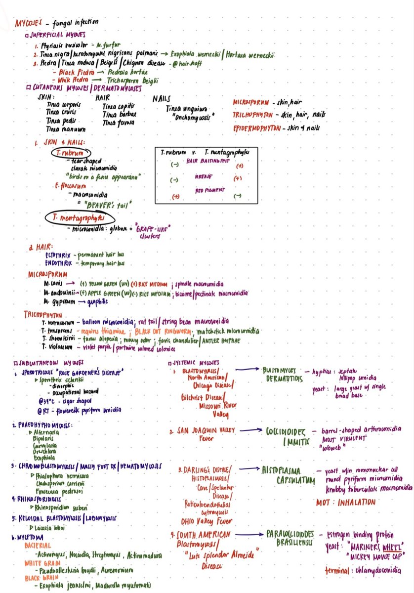EVERYTHING MICROPARA MYCOVIRO
Summarized, pls do excuse my penmanship. PLS SPREAD!! Sana makatulong~ 1/2
#medtechtwt
