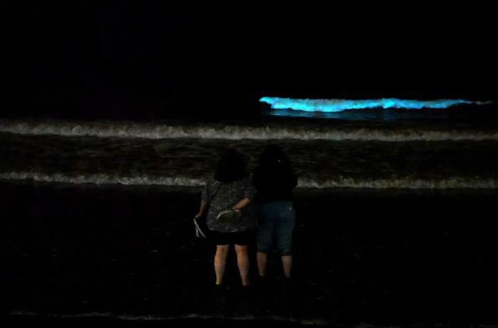 TurismoCity's tweet photo. Increíbles imágenes del jueves por la noche en Mar del Plata 😱

La presencia de noctilucas (algas microscópicas) generó olas con bioluminiscencia 🤩

📸 @brankouver https://t.co/ZZIiMy82M9