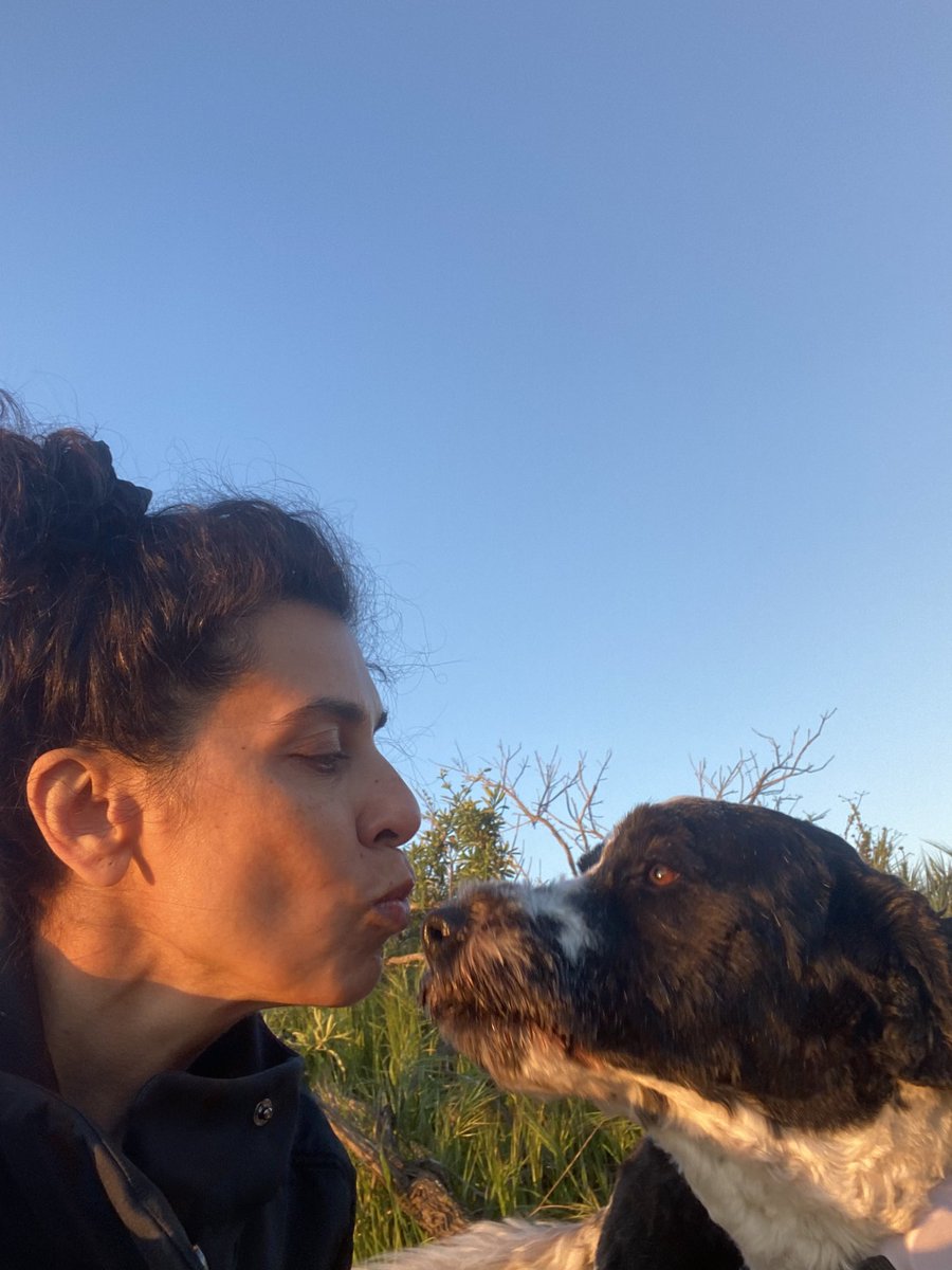 DrMarthaGulati's tweet photo. The sun has returned to #LosAngeles and it is glorious! #cardiologistswhorun #runyoncanyon #sunrise #hollywood #SuperSaturday #uphillrunner
@DrRajivsankar @DBelardoMD @vbluml @HeartOTXHeartMD @cardiojaydoc02 @heartofthemater @mirvatalasnag @JamalRanaMD @ErinMichos @PamTaubMD https://t.co/gSE8BDYXaa
