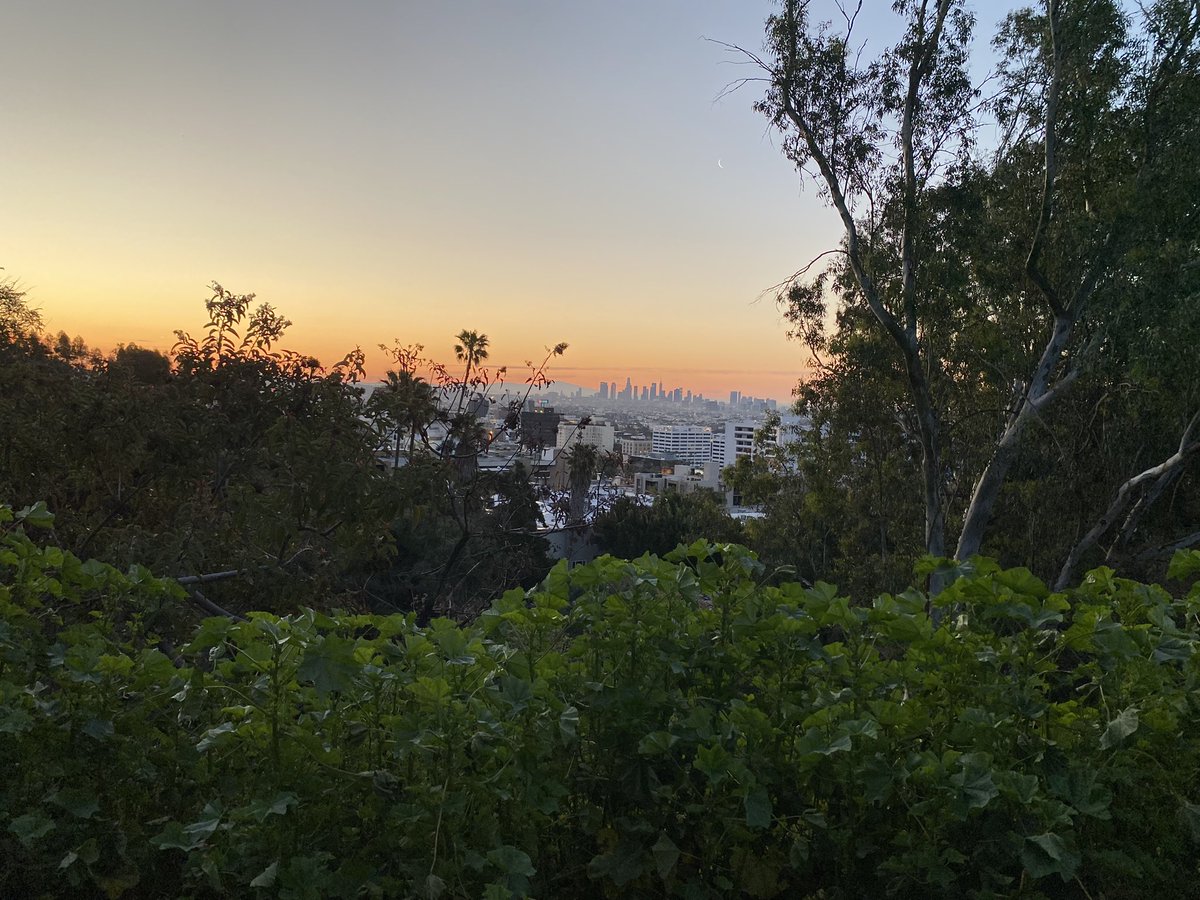 DrMarthaGulati's tweet photo. The sun has returned to #LosAngeles and it is glorious! #cardiologistswhorun #runyoncanyon #sunrise #hollywood #SuperSaturday #uphillrunner
@DrRajivsankar @DBelardoMD @vbluml @HeartOTXHeartMD @cardiojaydoc02 @heartofthemater @mirvatalasnag @JamalRanaMD @ErinMichos @PamTaubMD https://t.co/gSE8BDYXaa
