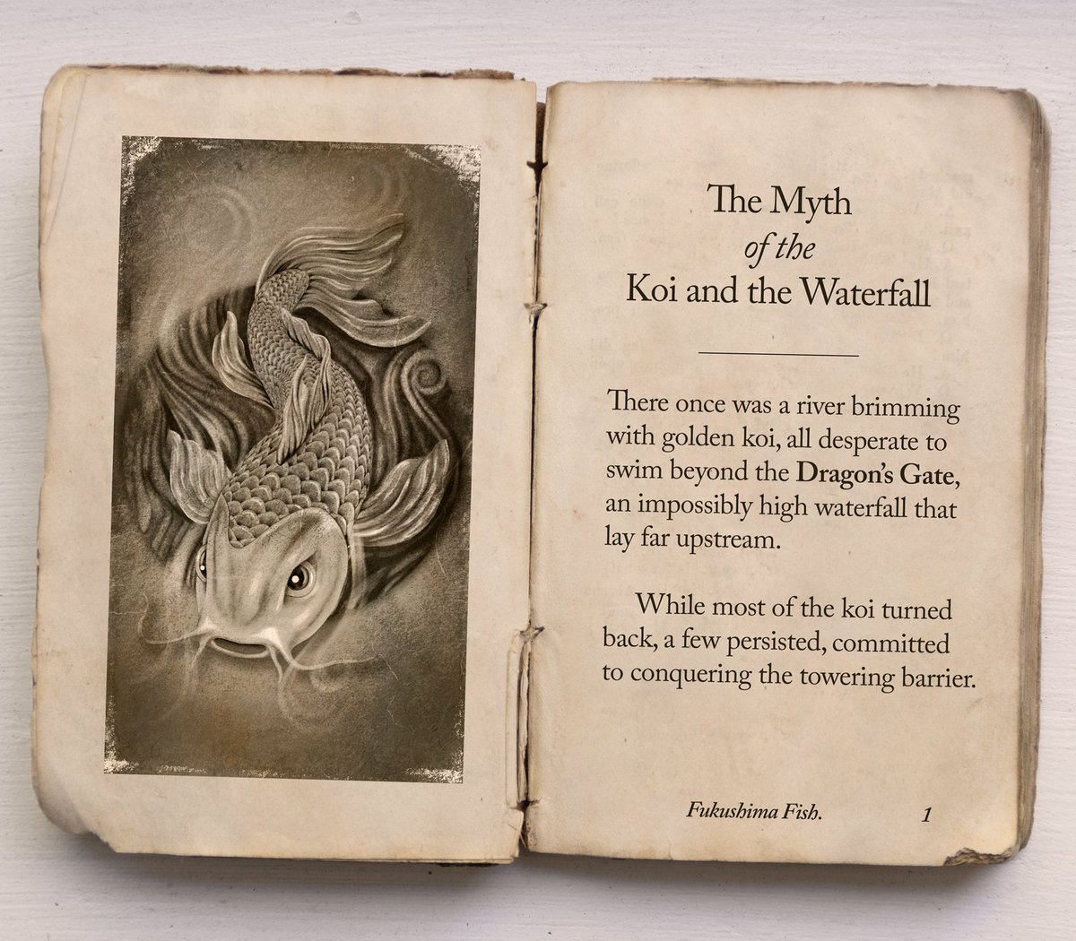 Fukushima_Fish's tweet photo. The Myth of the Koi and the Waterfall 🧵 https://t.co/c3smLq16km