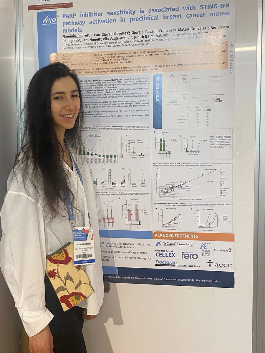 #EASImmuneResponses 

Outstanding talks and a great opportunity to discuss our results on the association between PARPi sensitivity and the activation of the STING-IFN pathway in breast cancer @VHIO @vserra_elizalde @AlbaLlopGuevara 

🙏 @EACRnews @AACR @SIC_cancer