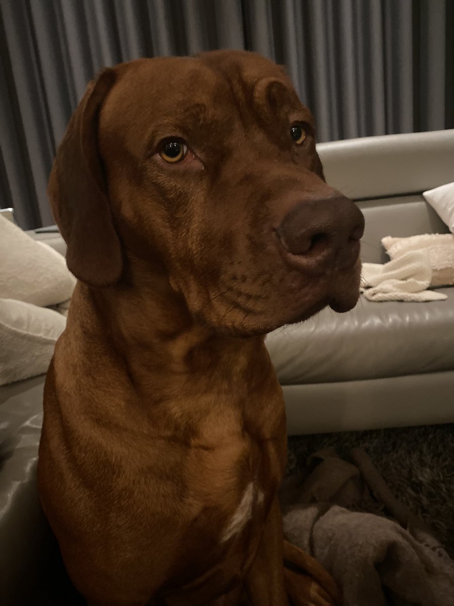 Deze man…🥰🥰🥰