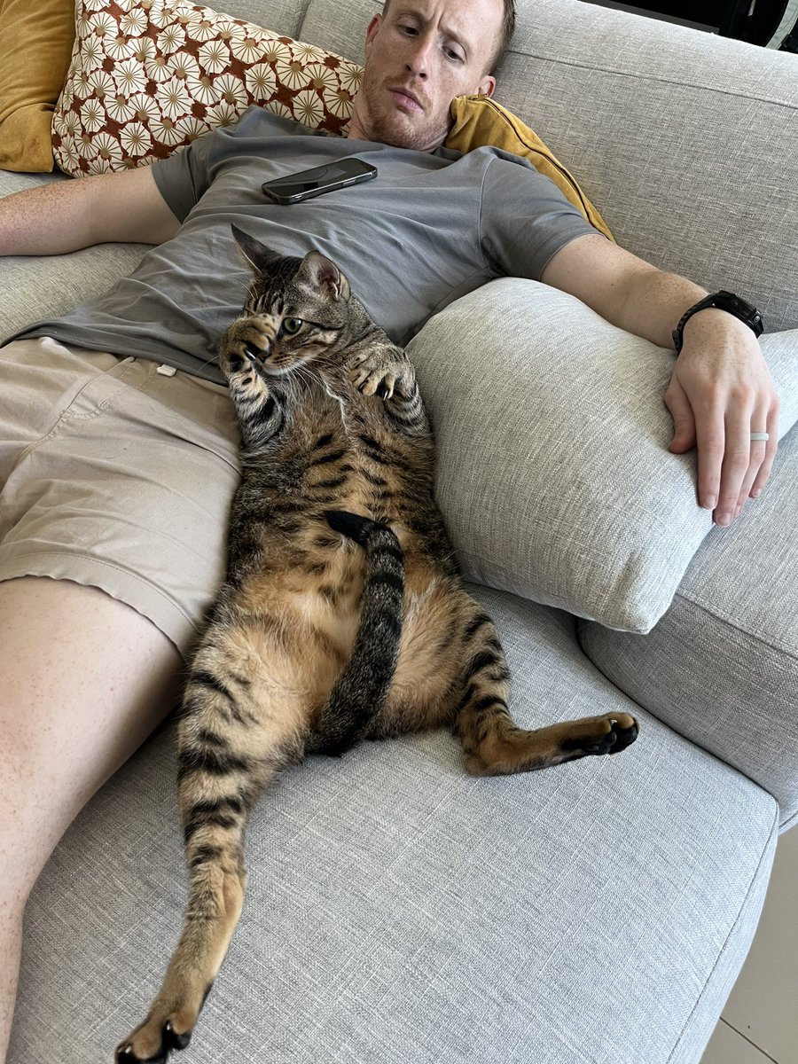 Mrs_Music_DXB's tweet photo. Think Ozzy likes the new couch 🤣 https://t.co/XrquXfd71h