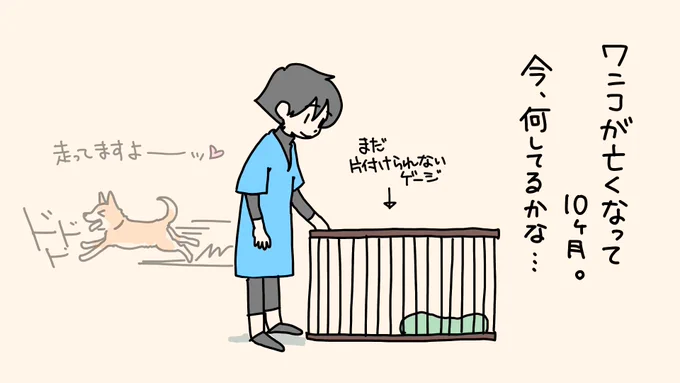 たくさんの感想を、ありがとうございます!ひとつひとつ大切に読んでいます。皆さんのワンコ愛あふれる言葉に触れ、胸がぎゅうってなり、何度も読んでいます。どうお返事しようかと悩んで今の様子を描きました。ワンコも走って喜んでいます!

#秘密結社老犬倶楽部 
#秘密結社老犬倶楽部天国支部 