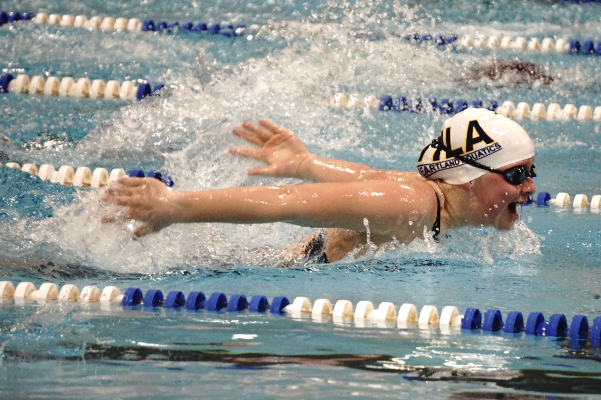 Midwestern Swimming tweet media