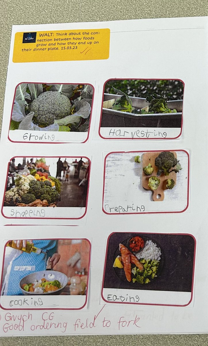 Dylan Thomas enjoyed learning about Broccoli and finding out what happens to it from the field to getting to our forks for #BritishScienceWeek2023 @DeightonPrimary #DPSSTEAM