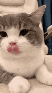 YRuflas's tweet photo. @Daniela08449259 @cornudos693 https://t.co/OmUZKXJJaa