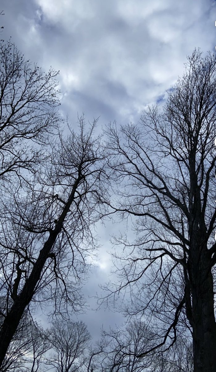 Wandeling aan het maken in Herent #vrtweer