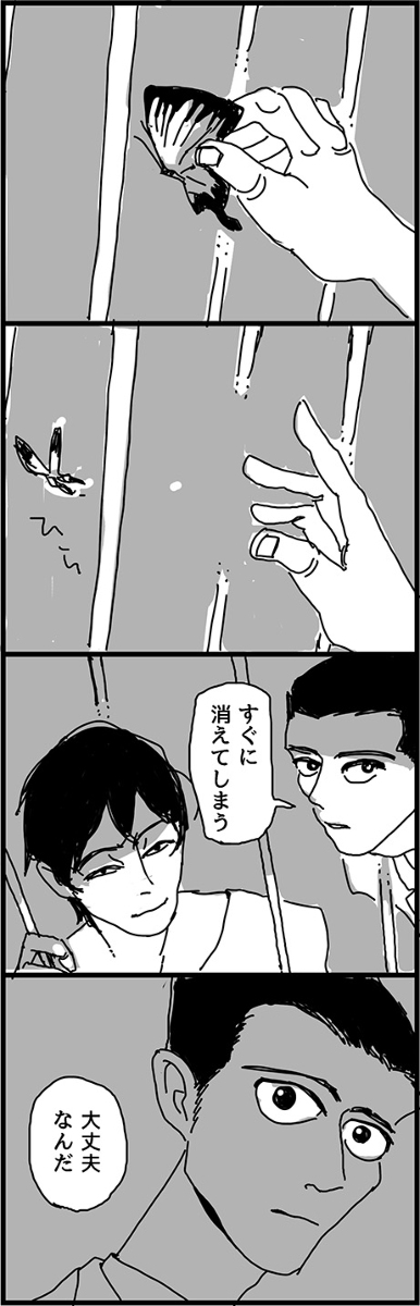 (5/5) 