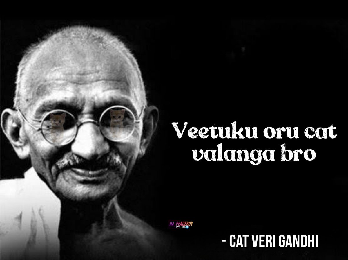 Im_Peaceboy's tweet photo. என்று காந்தி வழியில் 😻🫡❤️🩹
#Catism https://t.co/JlFMWsU7ms