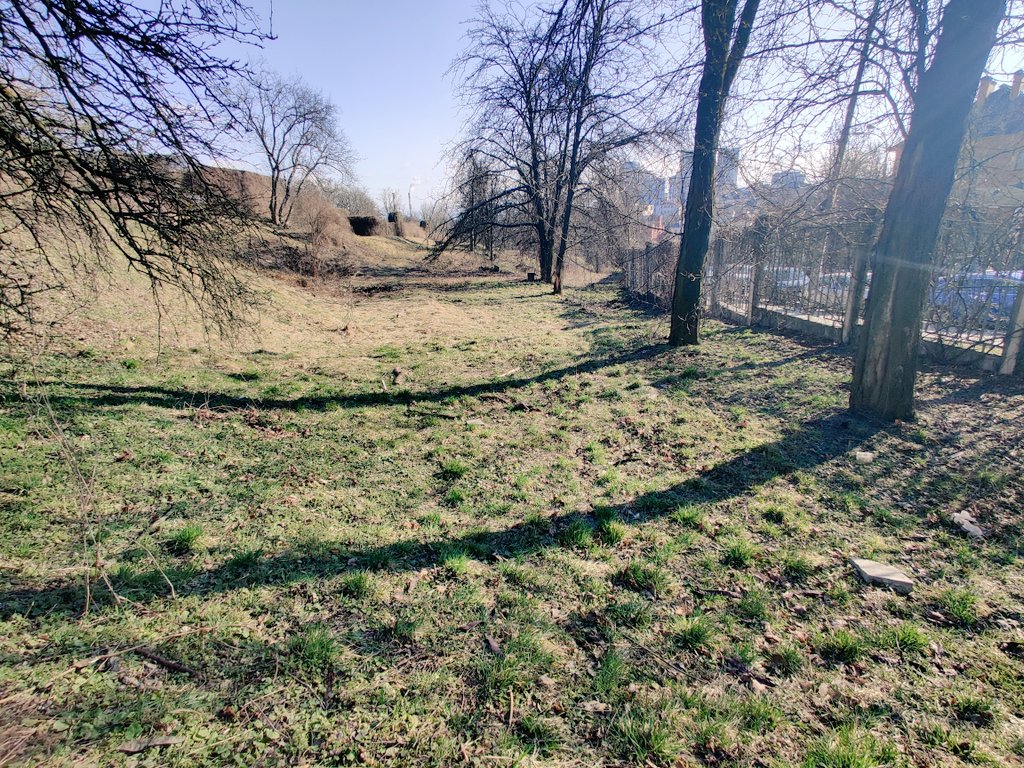 gvatomal's tweet image. #springair #весна #ботанічнийсад #київ #Kyiv #kyivtoday