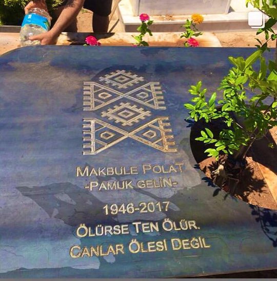 Dr. Mahir Polat tweet media