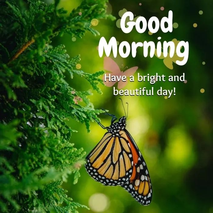 <a href="/dr_doreeeeenn/">Doreen Narh, OD</a> Daddy : Every morning