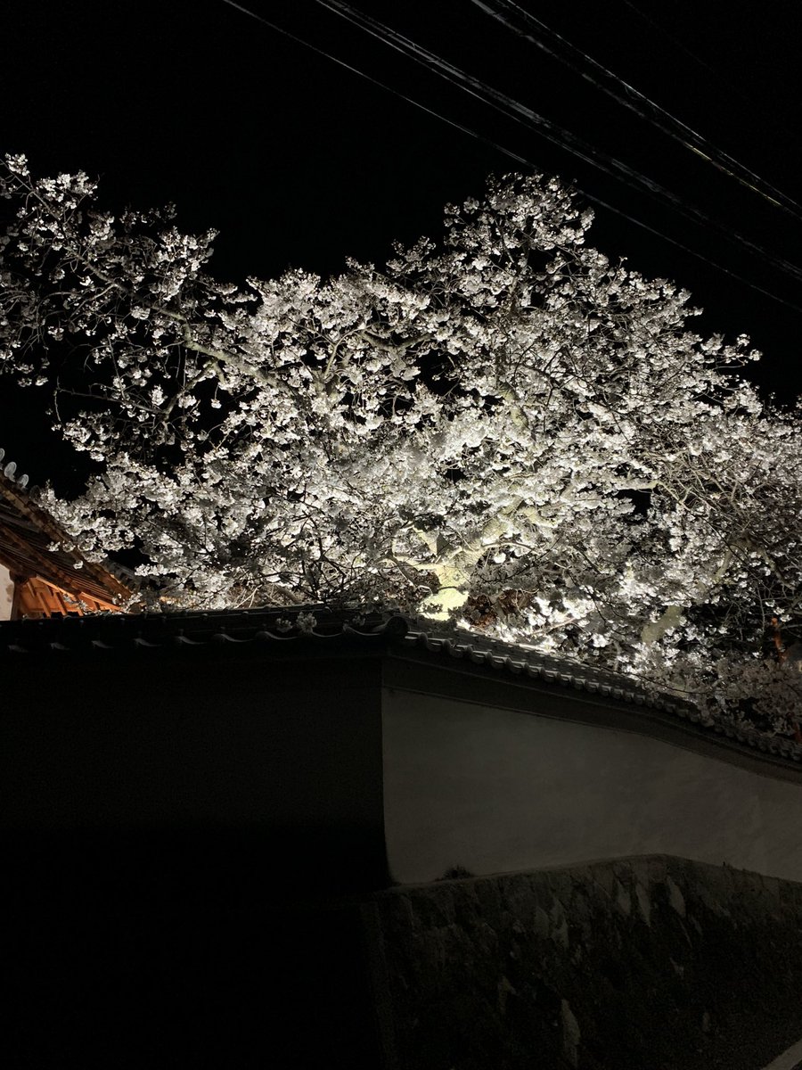 get764's tweet photo. After all, Japan is good, isn't it? https://t.co/KHZtbLSk2a