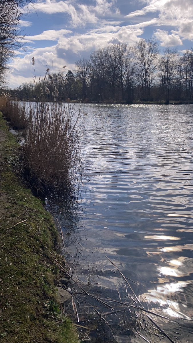 The sun 🌞 is here again #Belgium