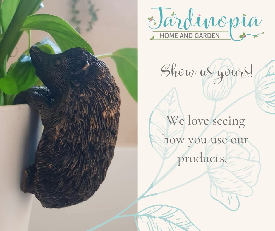 Fiona from Belfast recently won our competition to win a Pot Buddy. We loved seeing her photo, showing the Hedgehog at home on her plant pot...   
We love seeing your photos of our products! What's your favourite Jardinopia product?