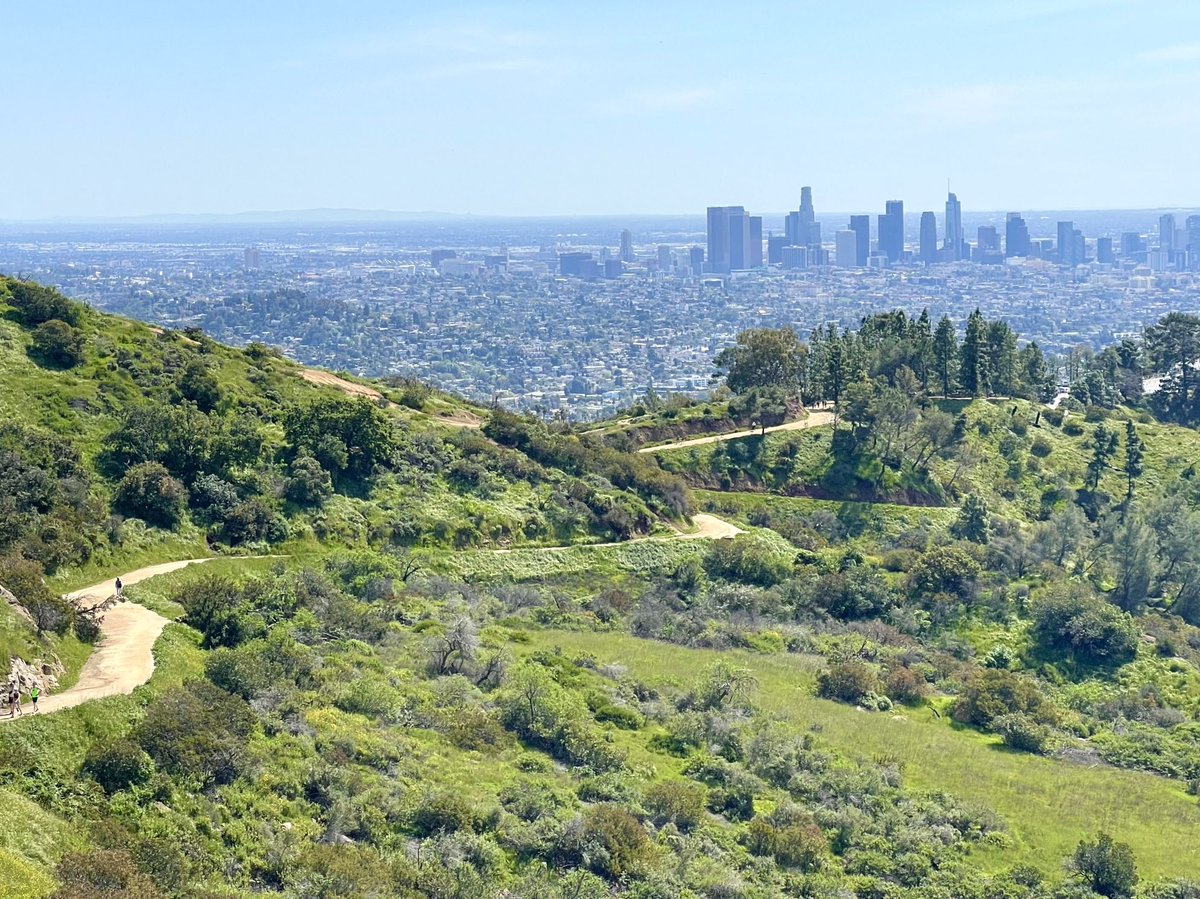 Beautiful day for a hike 🍃

#GriffithPark #DTLA